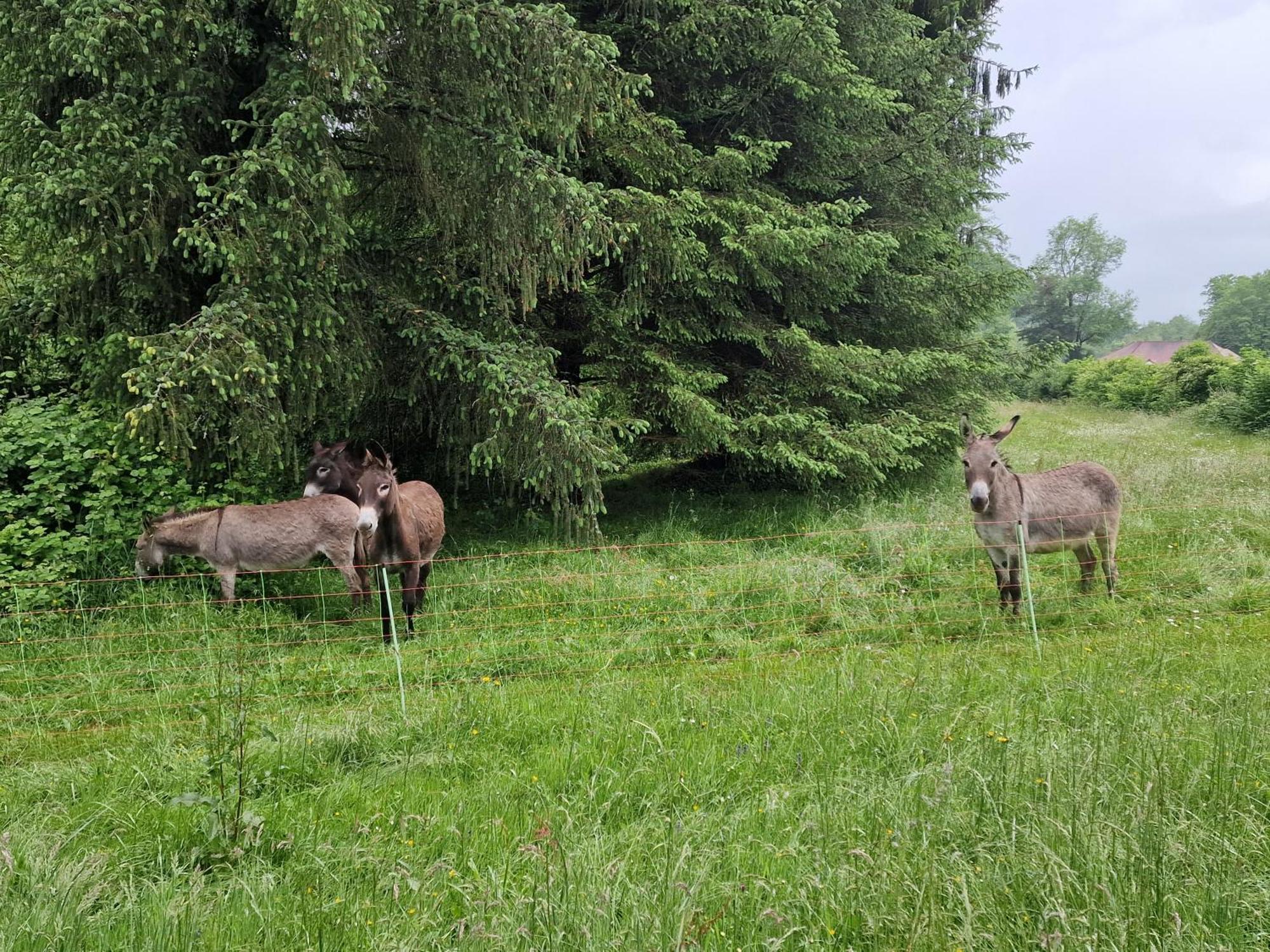 Maison Du Bonheur Gan Pokoj fotografie